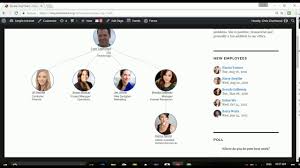 simple dynamic org chart wordpress plugin