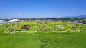 屏東縣農業大學是屏東縣政府辦理的免費農業課程，主要針對年滿18歲且設籍在屏東縣，對農業發展有興趣者所建立的農業學習平台，期望透過培育農業人才 see more of 屏東縣農業大學 on facebook. 2019å±æ±ç†±å¸¶è¾²æ¥­åšè¦½æœƒæ´»å‹•äº¤é€šæ™¯é»žxæœ€æ–°æ¶ˆæ¯æ‡¶äººåŒ… è·Ÿè'—å·¦è±ªåƒä¸èƒ–