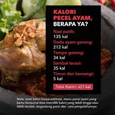 Ayam goreng crispy chicken katsu sehat rendah kalori rendah lemak tinggi protein tanpa minyak ! Facebook