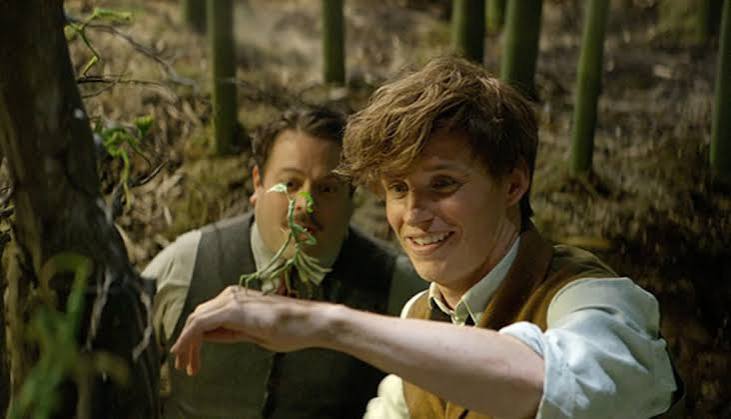 Fantastic Beasts and Where to Find Them - Plugged In