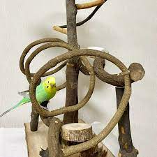 自然木 ツタ のぐるぐるバードアスレチック セキセイインコ オカメインコ バードジム 鳥豆堂 鳥用品 セキセイインコ バード