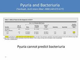 urine culture practices in the icu antibiotic stewardship