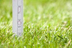 But if you cut grass too short (known as scalping, for obvious reasons), you stress it. Mowing Tip Don T Scalp Your Lawn Lawn Doctor