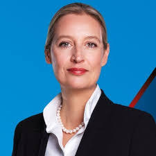 Wade Paulson's Instagram, Twitter & Facebook