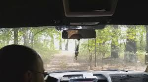 Pentru a pescui pe dunare in zona oltenita va trebui sa obtineti un permis de pescuit de la agvps oltenita, taxa anuala este de 100 ron. Pescuit La Dunare Malu Giurgiu Prin Padure Youtube