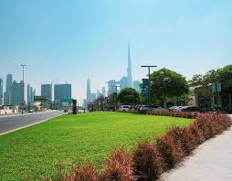Our creative and collaborative landscape designers specialize in bringing your landscape visions to reality. Sia Landscaping