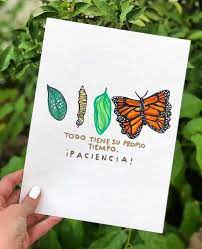 Todo Tiene Su Propio Tiempo Paciencia Frases Mariposas Frases Bonitas Frases Motivadoras