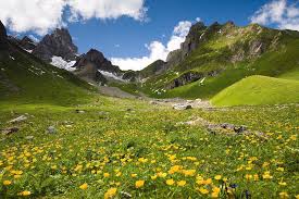 By pedro z • 3 replies. Lechtaler Wetterspitz In Tirol Austria By Wingmar