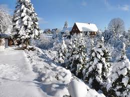 Como entrámos pela itália as regras do carro alugado são italianas, ou seja tínhamos um carro com pneus de verão. Suica Inverno Saupsdorf Inverno Saxonico Foto Gratis