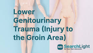 Image result for Genitourinary Trauma