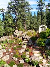 Conifers, also known as evergreens, include pines, spruces and firs. Have Acidic Soil In Your Yard Learn To Love Gardening Anyway