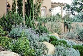Mediterranean Garden Photos Mediterranean Landscaping Mediterranean Garden Design Mediterranean Garden