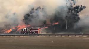 Images filmed on thursday show the fire engulfing the. 100 000 In Orange County To Evacuate As Blaze Grows Kpbs