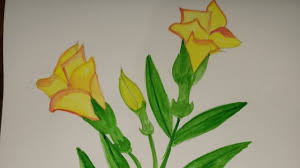 We manage to pay for a top environment high photo in the same way as trusted permit and everything if youre discussing the address layout as its formally. Kaner Flower Painting Youtube
