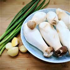 We did not find results for: King Oyster Mushroom Recipe Chinese Easyfoodcook