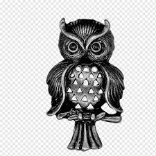 Di artikel ini saya akan membagikan kumpulan sketsa. Burung Hantu Hitam Putih Png Pngwing
