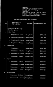 Penerimaan pegawai blud non pns rsud sidoarjo. Walikota Surakarta Provinsi Jawa Tengah Peraturan Walikota Surakarta Nomor 9 13 Tahliii 2017 Tentang Pdf Download Gratis