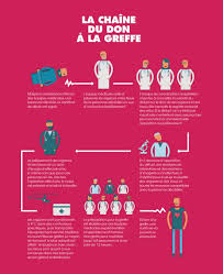 La france fait un peu mieux. Combien De Temps S Ecoule Entre Le Prelevement Et La Greffe Don D Organes Fr