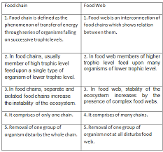 In other words, they show who eats this food chain includes producers and consumers. List Any 5 Differences Between Food Chain And Food Web Science Our Environment 10067015 Meritnation Com