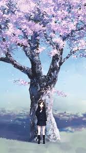 Sakura tree background anime night. Night Anime Cherry Blossom Tree Background Novocom Top