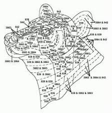 Thread Painting And Silk Shading Embroidery Techniques And Projects Needle Painting Or Thread Painting Hand Embroidery Kits Of Animals Silk Shading Silk Embroidery Thread Painting Embroidery Inspiration Hand Embroidery Kits