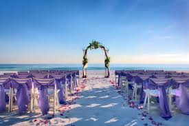I Like The Color Of The Chair Accents That Color And A Light Ocean Blue Wedding On The Beach Budget Beach Wedding Wedding Beach Ceremony Diy Beach Wedding