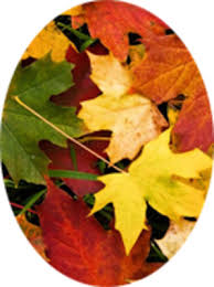 Patsy Ruth Farris Obituary January 5, 2011