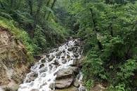 نتیجه تصویری برای آب پری