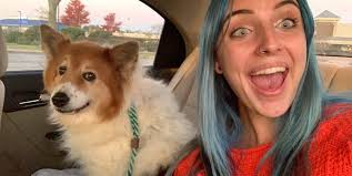 Arizona border collie rescue support