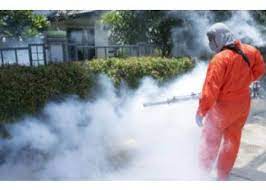 Black cockroaches, white cockroaches, termites, white ants, red. 3 Best Pest Control Services In Dehradun Expert Recommendations