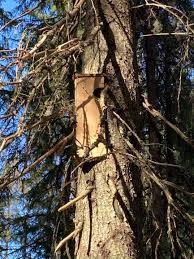 Nestkast plaatstaal | birdhouse sheetmetal. How To Make A Diy Birdhouse From A Log