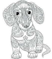 An animal mandala coloring page might contain an owl, wolf, barn owl, grey wolf or other creature depicted within it. Animal Mandala Coloring Easy Novocom Top