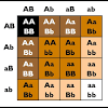 Blond afro gene study suggests hair color trait evolved at least twice. 1