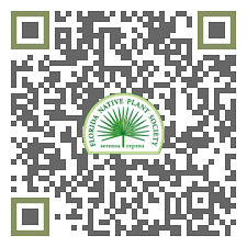 Image result for Landolphia ligustrifolia