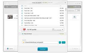 Mar 06, 2017 · this short video quickly explains how to download video & audio clips from youtube using clip converter. Free Youtube Video Downloader Download Video From Youtube With Youtube Downloader
