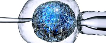 email protected) being used 100.00% of the time. Revongen Corporation Sdn Bhd Biotechnology Hub Biosciences Agribiotech Medical Aquaculture Halal