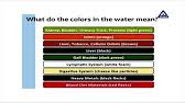 Ion Cleanse Colors Caused By Water Versus Colors From The