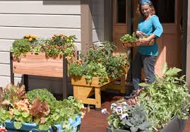 My next kitchen garden design class starts in march. Create A Patio Vegetable Garden Gardener S Supply