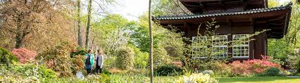 Gartenpflanzen & stauden bringen den garten zum leuchten. Japanischer Garten