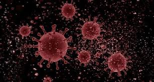 Dass die terminvergabe nun so plötzlich möglich ist, führt sprecher giebel auf. Coronavirus Covid 19 Fragen Und Antworten Schweizerische Herzstiftung