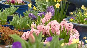 February is the precursor to spring in many places to it's a good time to start planning and prepping your garden. Tips On How To Get Your Colorado Lawn And Garden Ready For Spring 9news Com
