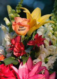 I hope you like it and please visit my. Happy Birthday Flowers Portrait Greeting Card For Sale By Shaddowcat Arts Sherry