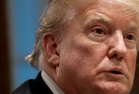 Inside the Trump defense strategy