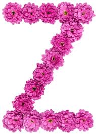 Explore and share your favorite a to z beautiful. Buchstabe W Alphabet Von Den Blumen Der Chrysantheme Lokalisiert Auf Weissem Hintergrund Lizenzfreie Fotos Bilder Und Stock Fotografie Image 90439823