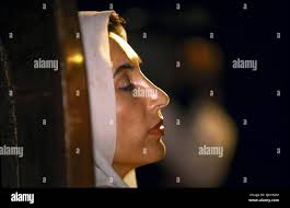 Baughman hi-res stock photography and images