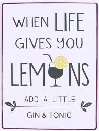 Vintage Schild When Life Gives You Lemons Add Gin And Tonic Metall Tin Sign Gin Rezepte Bar Karte Schilder