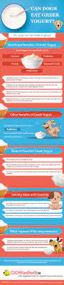 Is yogurt good for nursing dogs? Can Dogs Eat Greek Yogurt Yes But There Are Some Rules To It
