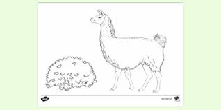 Llama llama and mama llama. Free Llama Colouring Colouring Sheets Teacher Made