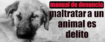 Resultado de imagen para IMAGENES SOBRE NO AL MALTRATO ANIMAL