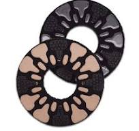 SASE Website - Xenith 9″ Pads